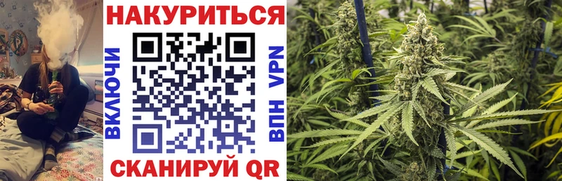 Бошки Шишки конопля  Артём 